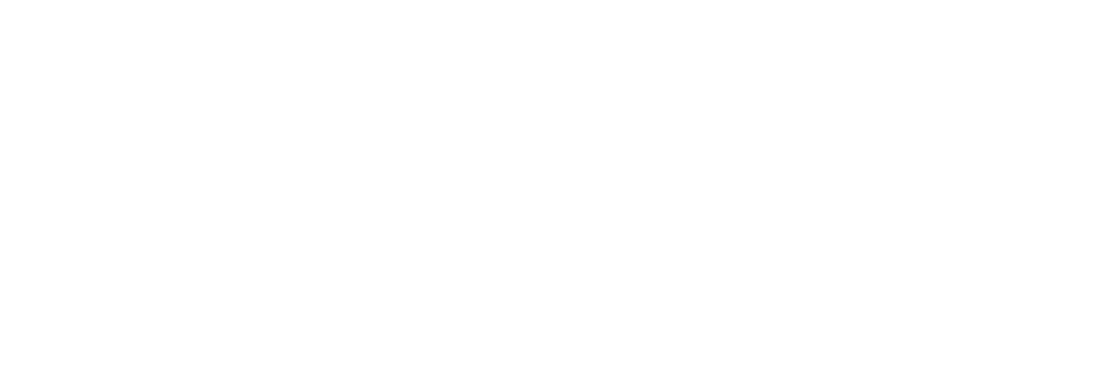 Magna Multi logo